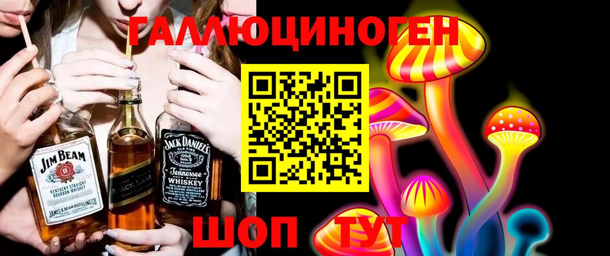 Дмитров  Псилоцибиновые грибы мицелий  Вход с VPN  Галлюциногенные грибы прущие грибы 